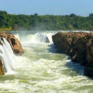JOY OF NATURE  MADHYA PRADESH - 5Nights / 6days