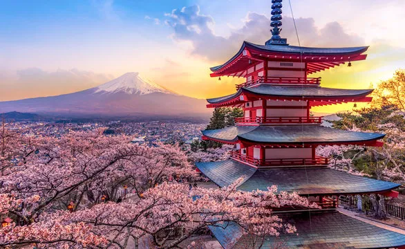 CHERRY BLOSSOM JAPAN 8 NIGHTS /9 DAYS
