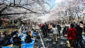 CHERRY BLOSSOM JAPAN 8 NIGHTS /9 DAYS - Image 8