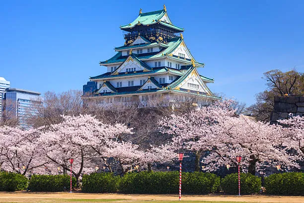 CHERRY BLOSSOM JAPAN 8 NIGHTS /9 DAYS - Image 4